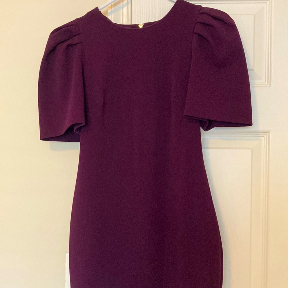 Calvin Klein Burgundy Dress, Size 2